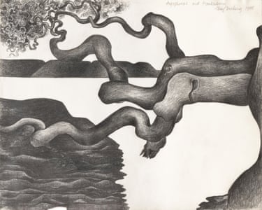 A black and white drawing of a gnarly eucalyptus tree reaching sideways over a river