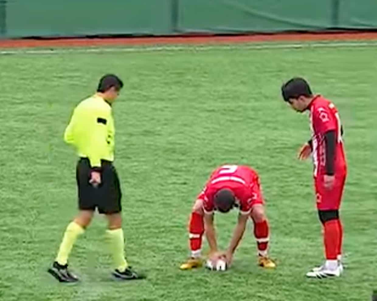 Heroic CPR Saves a Seagull, Restores Faith in Turkish Football Heroic CPR Saves a Seagull, Restores Faith in Turkish Football