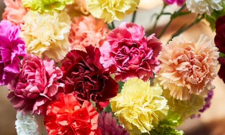 Crossword roundup: arguing about the names of flowers ...