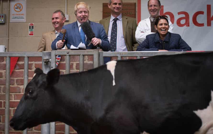Boris Johnson auctions a cow during a visit to a cattle auction in Clitheroe in Lancashire.
