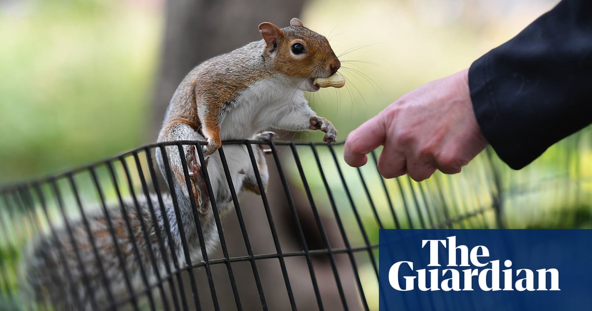 3242.jpg?width=1200&height=630&quality=8