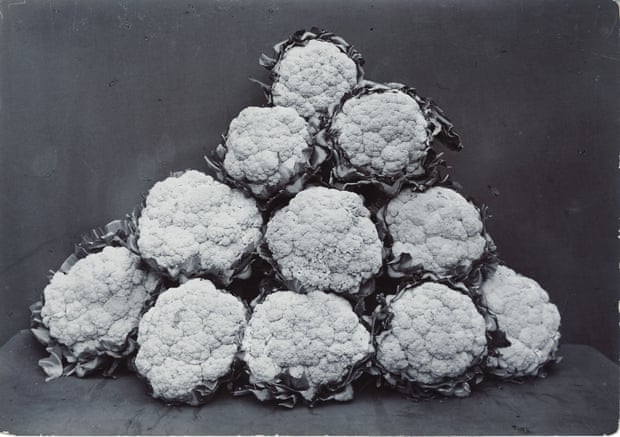 Unearthed Photography S Roots Review Cauliflowers Saying Cheese Photography The Guardian Unearthed Photography S Roots Review Cauliflowers Saying Cheese Photography The Guardian