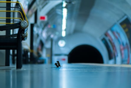 A shot from floor level of a London Underground station platform, with seats in the foreground, the tunnel entrance in the background, and two mice that appear to be fighting captured in silhouette on the platform
