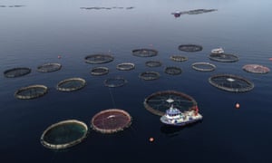 Fish farming in Turkey’s Izmir