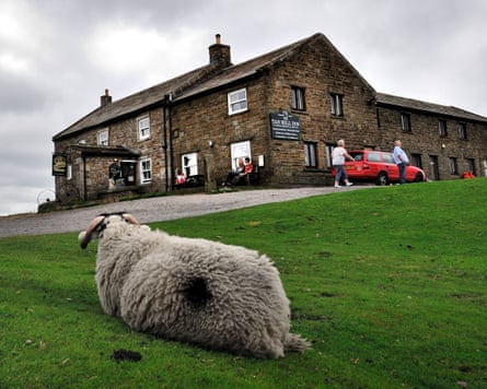 A sheep sits on grass in front of a remote pub