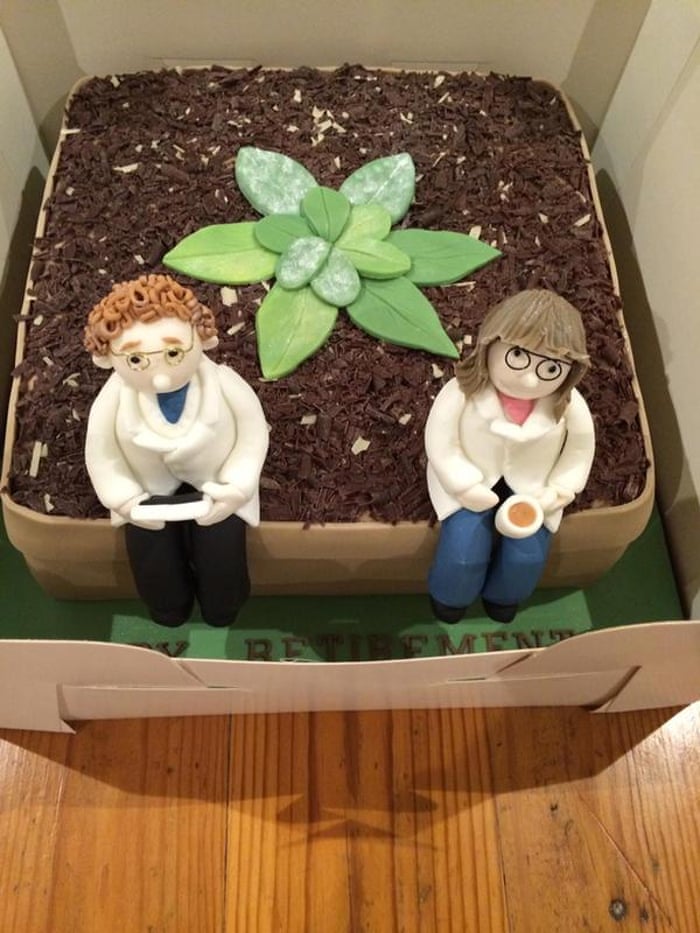 the cakes of science