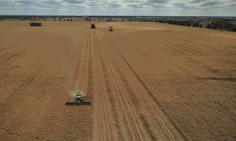 A wheat harvester in working on a field