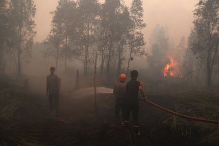 firefighters work to extinguish a wildfire