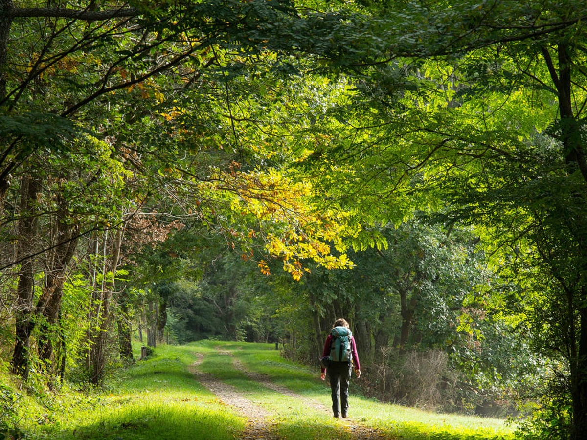 The Guardian view on fresh air: a public good | Editorial | The Guardian