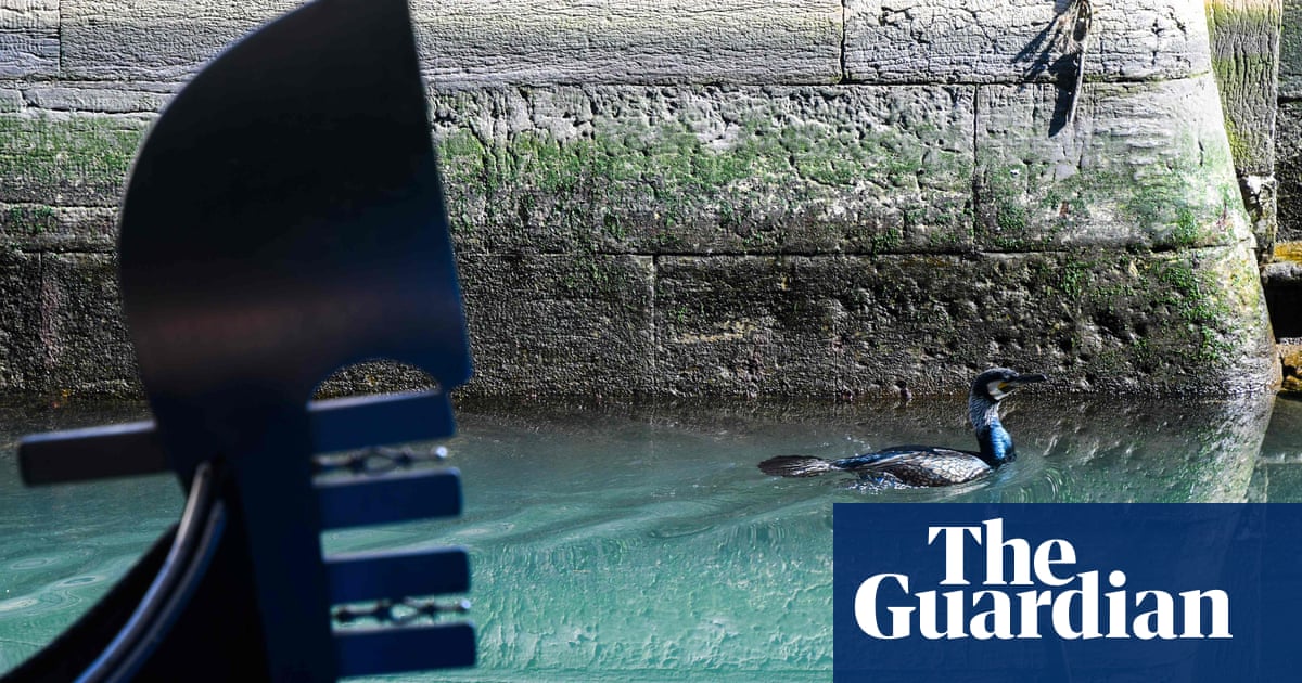 Attachment Attachment