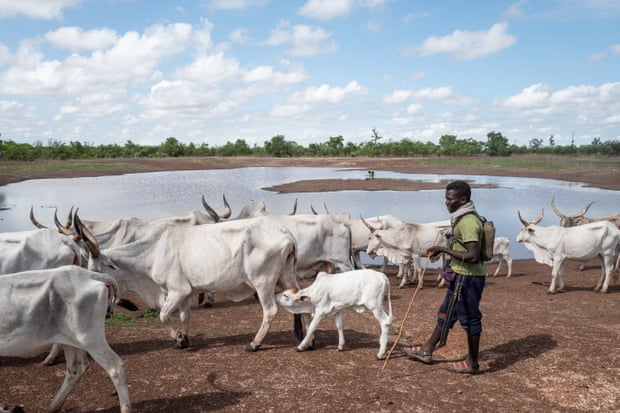 Herders from northern Senegal, on the move south.