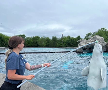 Kristy Burgess worked as a beluga trainer for three years at Marineland of Canada, working with more than 30 whales. During that time, the trust she developed with the belugas was “magical”.