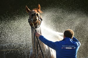 Warrnambool, AustraliaRuler By Choice is hosed down after a race at the the Warrnambool Jumps Carnival