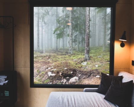 Room with a view into a forest at Inforest, central Sweden.