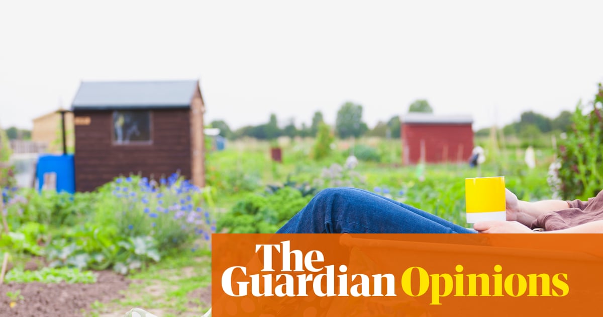 I got an allotment to escape the chaos and discovered a hotbed of vendettas | Arwa Mahdawi