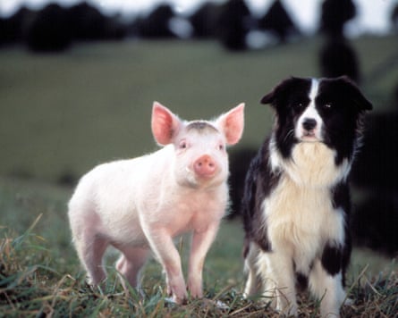 ‘Animatronic dogs were beyond what we were capable of – there’s just so much going on under that fur.’