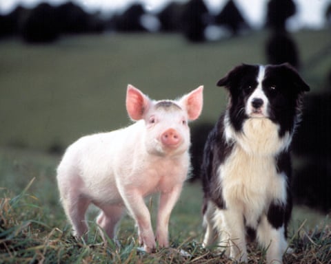 ‘Animatronic dogs were beyond what we were capable of – there’s just so much going on under that fur.’