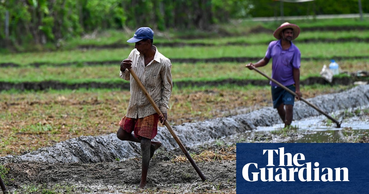 Sri Lanka government workers get Fridays off to grow food ahead of shortages