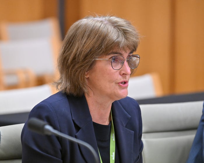 RBA governor blames high house prices on a lack of supply, not monetary policy – video