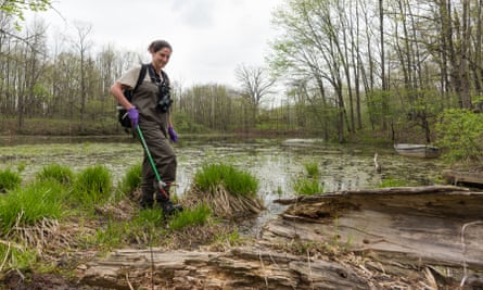 A woman in waders walks through tussocks of grass along the edge of a stagnant pool