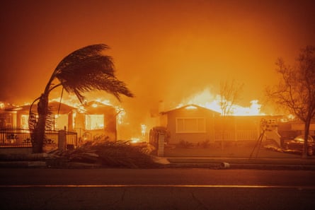 Trees sway in high winds as the Eaton Fire burns homes