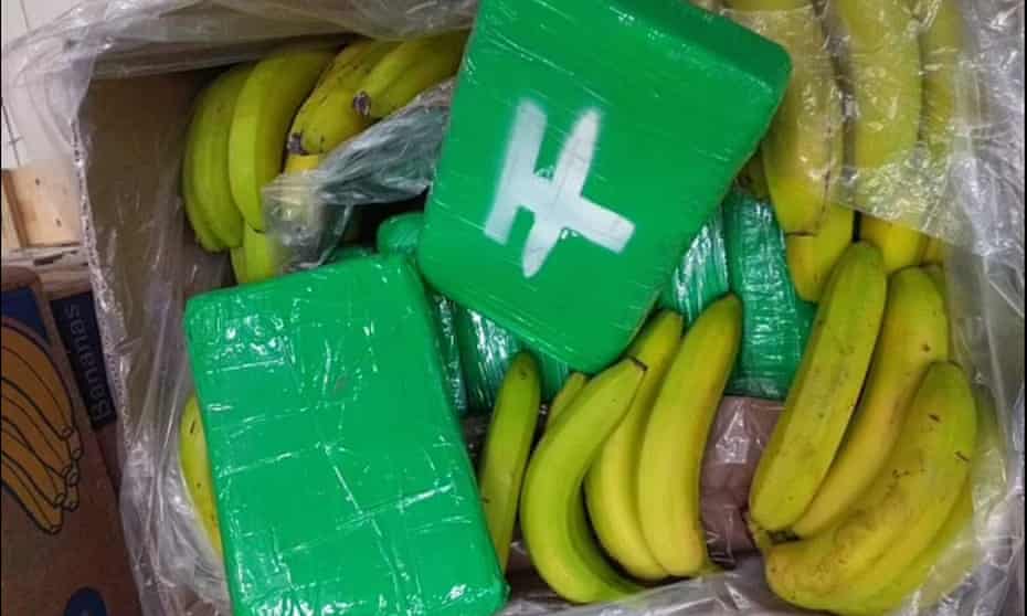 Green cubes of moulded cocaine in a box of bananas