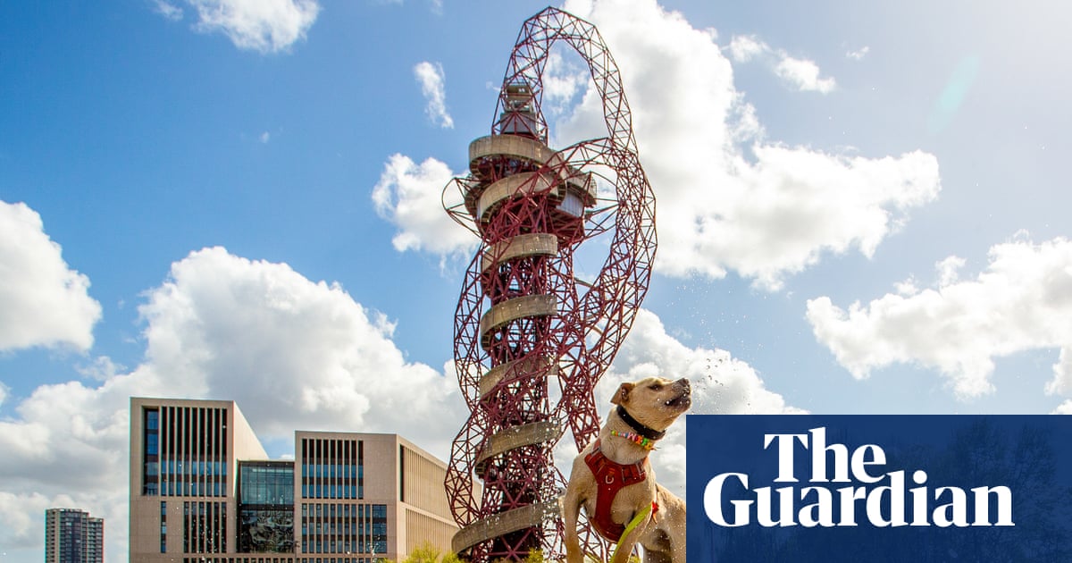 Jumping into orbit and a spring visitor – readers’ best photographs