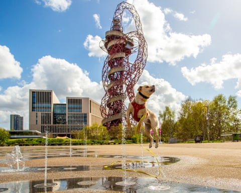 London, UK ‘I wanted to capture the iconic ArcelorMittal Orbit and I got lucky when I snapped Milo, a rescue dog, having great fun leaping and performing pirouettes in the fountains.’