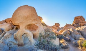 Joshua Tree National Park Music Myths And Art In The