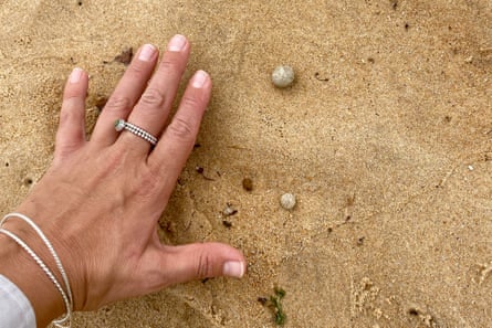 Unidentified ball-shaped debris found washed ashore at Manly beach