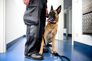 Neuss, Germany A data storage sniffer dog in action during a demonstration. The dogs, which originally specialised in narcotics, have been trained in recent months to search for data storage