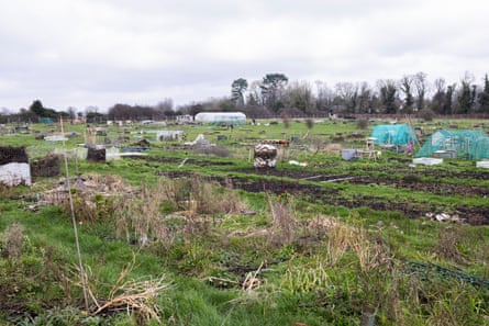 Allotments in Croydon