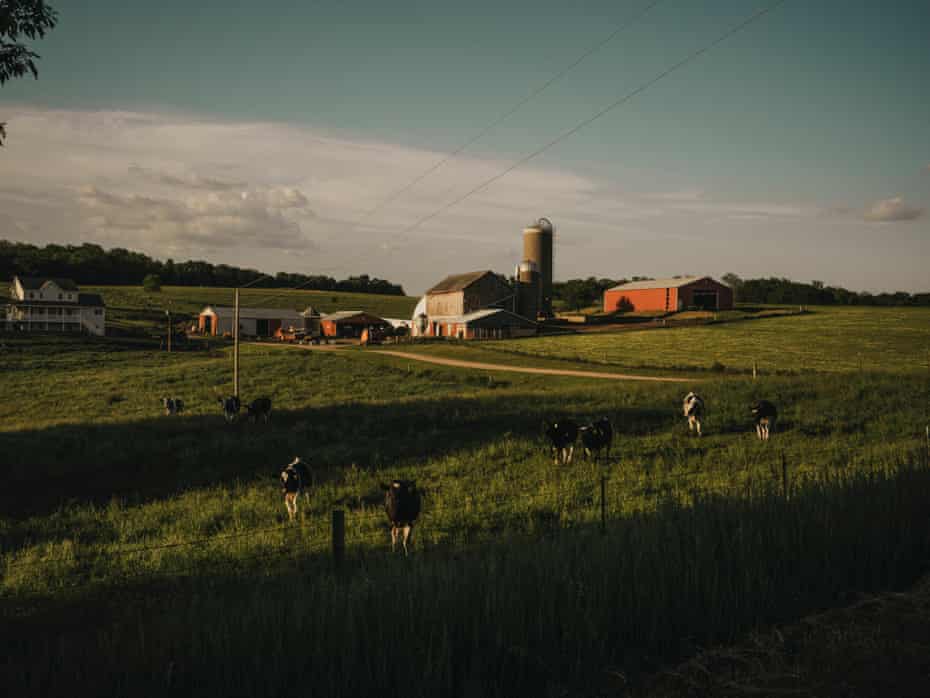 A farming landscape with green rolling hills and blue sky. Cows roam the field in the foreground. In the distance is a gray farmhouse, red barn, a scattering of farm sheds and a grain silo.
