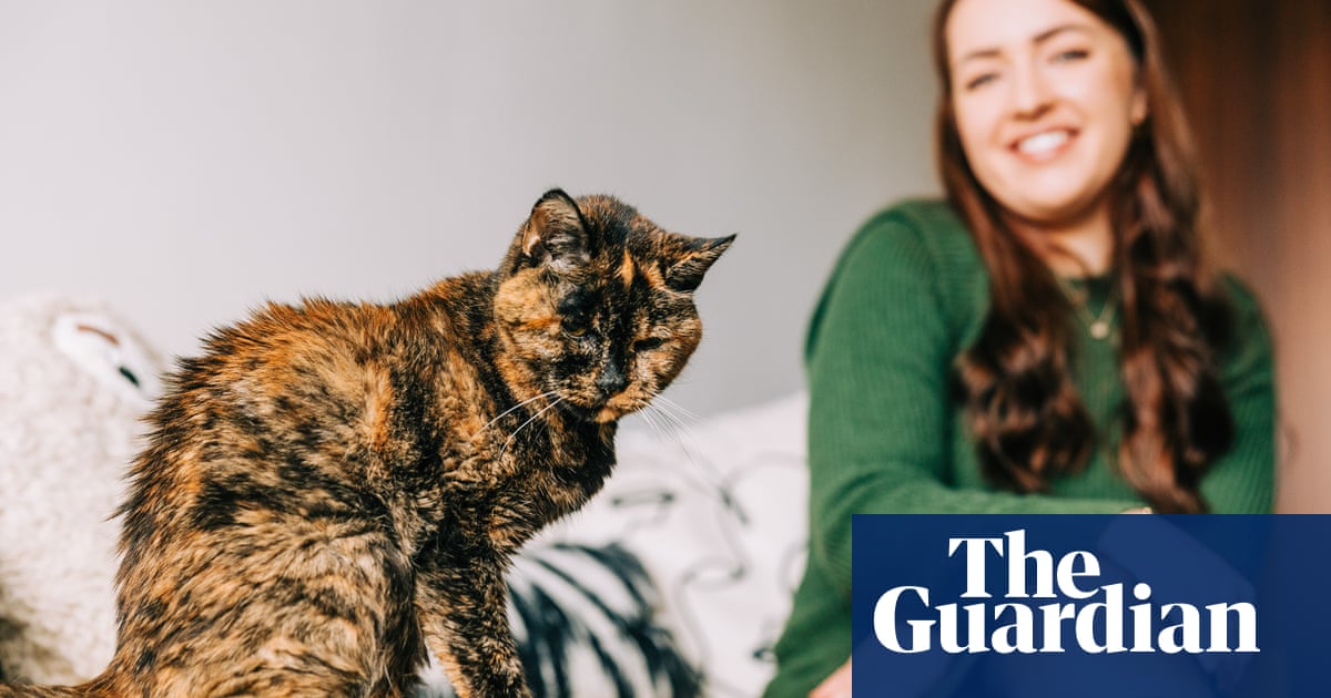 Купих й малки стълби за да се качва на дивана