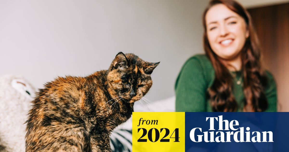 Experience: I own the world's oldest living cat | Cats | The Guardian Experience: I own the world's oldest living cat | Cats | The Guardian