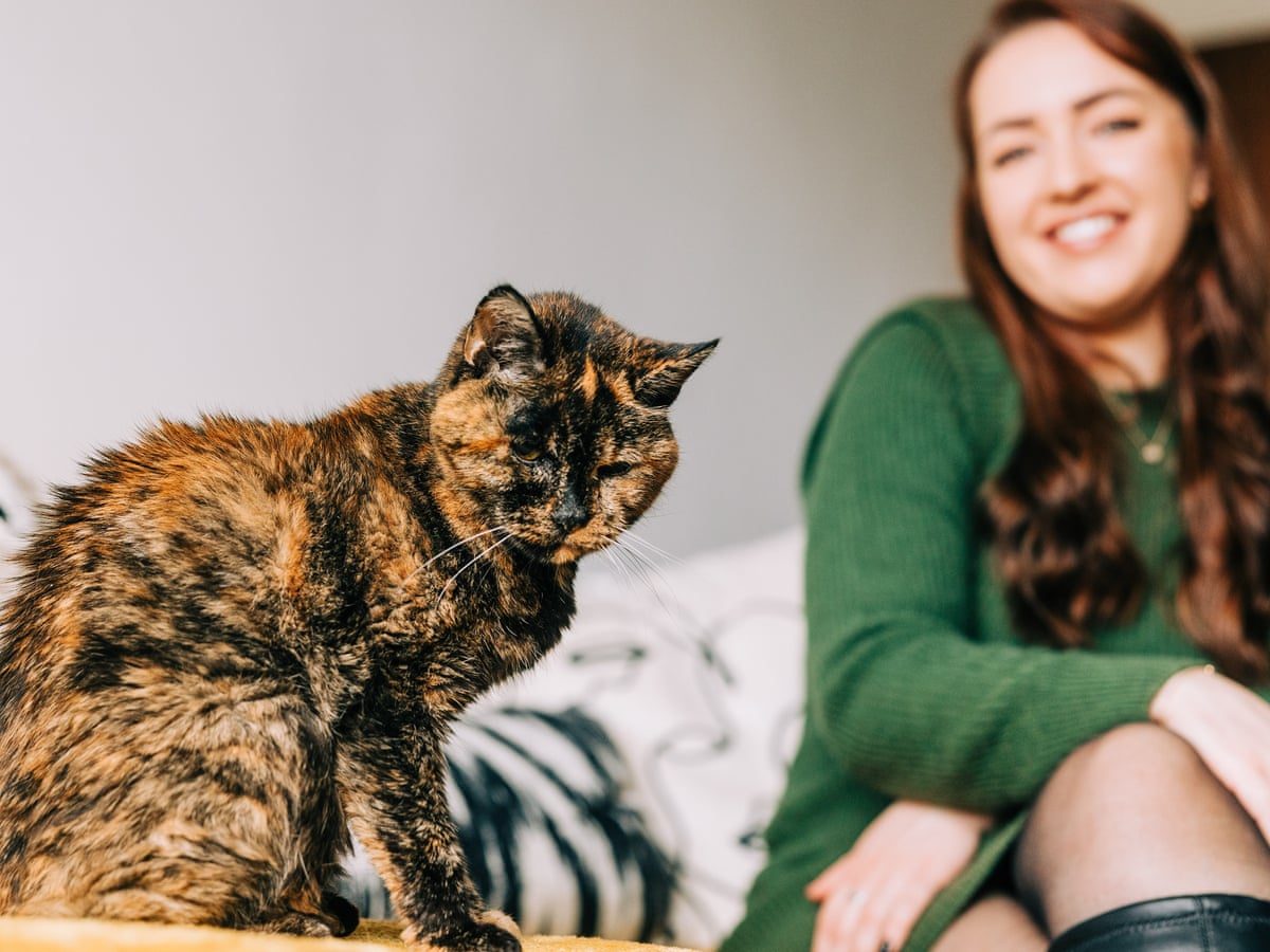 Experience: I own the world's oldest living cat | Cats | The Guardian Experience: I own the world's oldest living cat | Cats | The Guardian