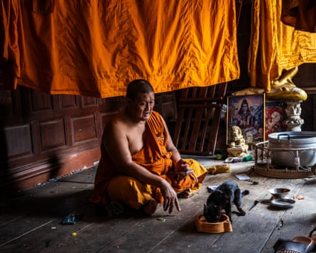 A monk in yellow robes sits on the floor of a temple watching a black cat eat from a bowl
