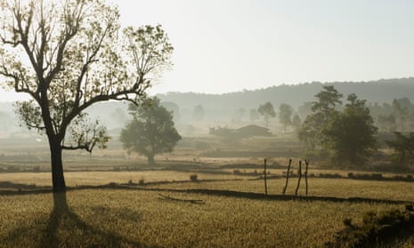 Stay calm … the unspoilt rural landscape of Chhattisgarh state.