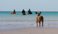Three people on horseback and a dog, in the ocean in shallow water. Still from the Guardian documentary 'Pressure and Release', directed by Pete Ward.