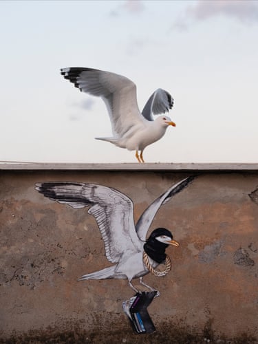 A yellow-legged gull standing on top of a building with its wings outstretched immediately above mural of a gull in a similar position