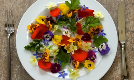 Dress Up Your Meal with Edible Flowers: For Cakes, Salads, Salsa