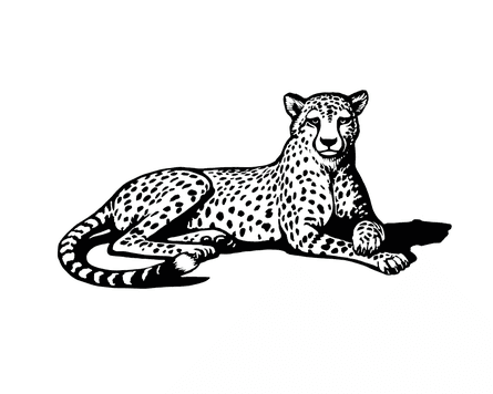 Illustration from The Rose Field.