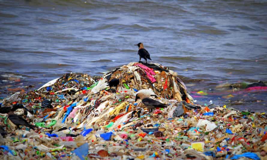 Most of the rubbish that washes up is plastic