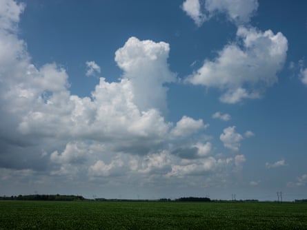 a soybean field and sky