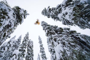 Lasse Kurkela (Finnland), Forest of the Siberian jay