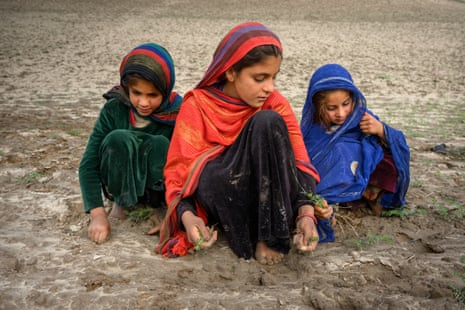 Three barefoot girls squatting in a field planted with crops.