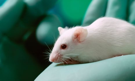Research with animals must adhere to strict standards of humane conduct