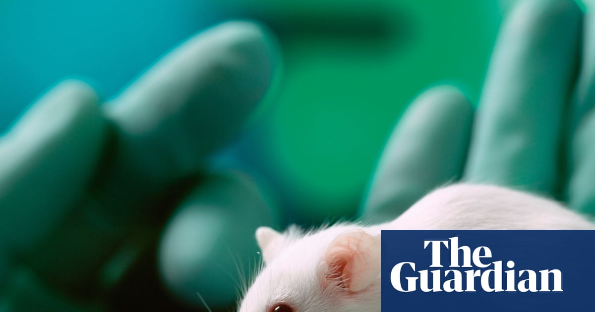UK minister unveils plan to cut animal testing through greater use of AI