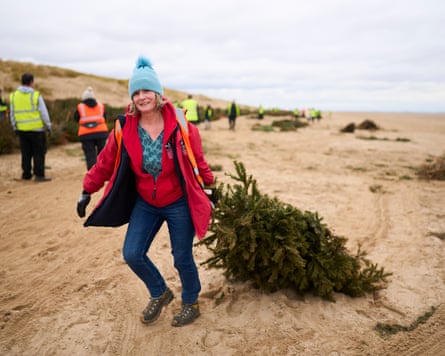 A volunteer drags a Christmas tree to be buried on Lytham beach to form a sand dune