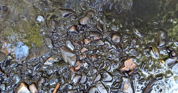 Coal sludge seen on rocks in Camp Gully creek, which runs through the Royal National Park in Sydney